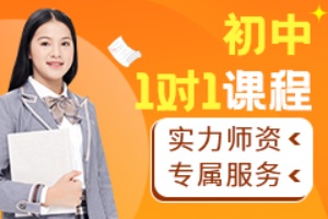 初中1对1课程